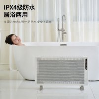 松下(Panasonic)欧式快热炉取暖器石墨烯电暖器智能语音款DS-AT2162CW