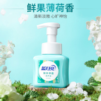 蓝月亮 鲜果薄荷泡沫抑菌 洗手液 255ml