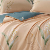 水星家纺全棉印花四件套纯棉清新印花DH-晚安心语 220*240