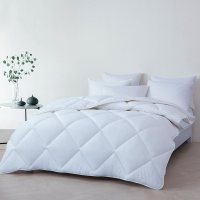 梦洁家纺 羽丝绒 双人春秋大被200*230cm