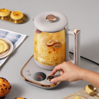 大宇 养生壶 DYYS-80018