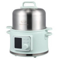 大宇多功能炖蒸煮锅DYLL-2R36绿色