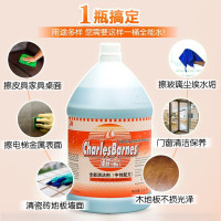 超宝 chaobao 中性全能清洁剂 DFF011 1加仑/桶 4桶/箱