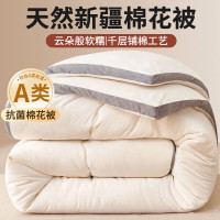 南极人 150*200cm 5斤 冬季被褥棉花胎棉絮 计价单位:床