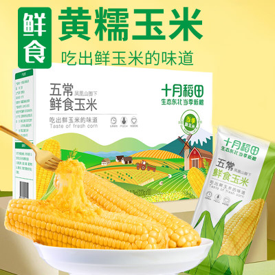 十月稻田 鲜食玉米2.2kg 五常鲜食黄糯玉米 东北黄糯 甜糯 粘玉米