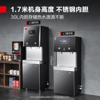 德玛仕(DEMASHI)SRZ-600/SRZ-2L-L5 商用直饮水机 公司学校办公室开水器商用净水器 一开一净