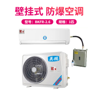 英鹏(GYPEX) BKFR-2.6 挂壁式空调 防爆空调 1匹防爆空调(IIB)