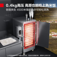 德玛仕(DEMASHI) KZ-60G4高原蒸饭柜 6盘电热 (380V)(含安装)