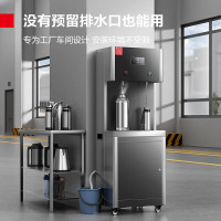 德玛仕 DMS-2CL2-2L3 (含安装)开水器商用饮水机直饮水机商用净水器一开一温220V