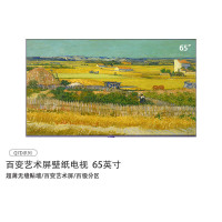创维(Skyworth) 65Q7D(含挂架安装)液晶电视机 65英寸 壁纸电视 全面屏超薄 网络WiFi智能AI语音