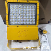 海洋王 BFC8119 LED防爆泛光灯 200W 基本款 单位:个