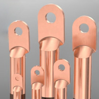 贝傅特 线鼻子 铜鼻子35平方DT冷压接线鼻子铜线鼻子铜线耳接线 DT-35mm²