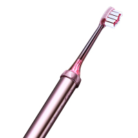 创维(Skyworth) BG31D2-RG 电动牙刷 成人声波深度清洁软毛刷防水充电(单位:把)玫瑰金