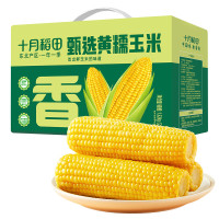 十月稻田 零添加 鲜食黄糯玉米1.32kg(220g*6)