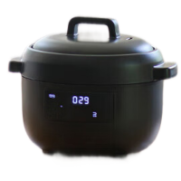 歐萊克 OLK-05-11(2.8L多功能电饭煲 岩黑DFB08004) 电饭煲 迷你3-5人家用小型电饭锅2.8L
