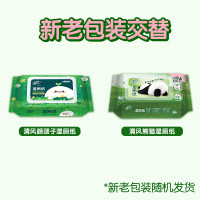 清风 草本1层40片/包*1湿厕纸 纸品 私处清洁湿纸巾 可搭配卷纸卫生纸使用