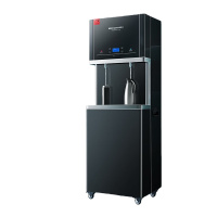 德玛仕 DMS-RO400-2L4 直饮水机 商用学校烧水机 学校用开水器 不锈钢直饮机一级水效 一开一净