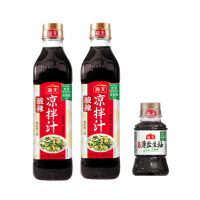 海天 调味品组合 酸辣凉拌汁560g*2瓶+薄盐生抽100mL 家用冷泡凉拌点蘸