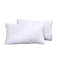 富安娜 成人枕芯双人对枕健康1+1对枕
