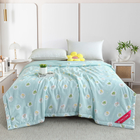洁丽雅-浅陌花溪润肤被 JLY-CB921 200*230cm 1200g