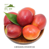 鲜知臻食大连红油桃约5斤