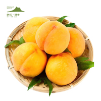鲜知臻食 山东蒙阴黄毛桃4.5斤-5斤彩箱