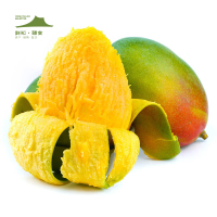 鲜知臻食 四川攀枝花凯特芒果5斤净重礼盒