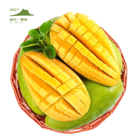 鲜知臻食 广西南宁大青芒九斤大果彩箱