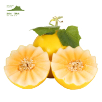 鲜知臻食 甘肃武威民勤蜜瓜五斤彩箱装