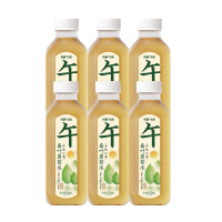 乐源 桑叶薄荷水植物饮料550ml*6瓶