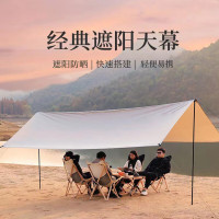 飞图乐流沙金标配涂银天幕3*3mTM00