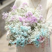 满天星 鲜花真花ins干花大束