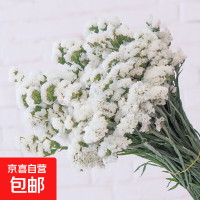 勿忘我鲜花居家插花可做干花