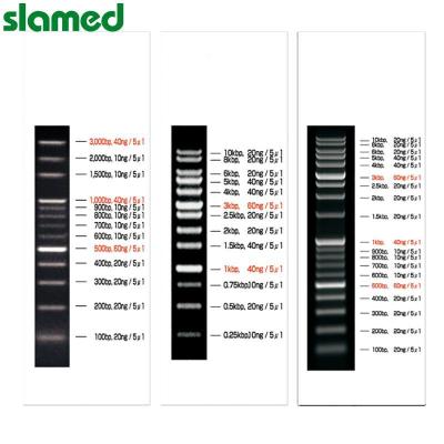 DNA分子大小梯度标记条(可常温保存) VIO-100-5