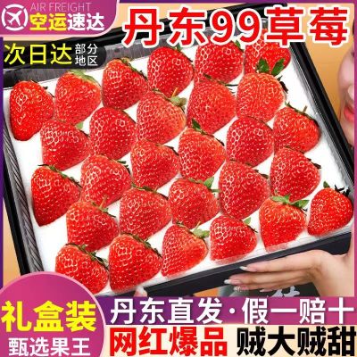 丹东99草莓 新鲜现摘牛奶红颜大草莓水果 [黑金礼盒装]28颗装