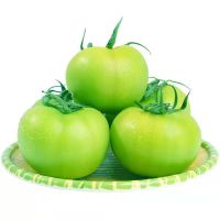 青番茄青西红柿1斤/3斤/5斤 现摘现发青柿子新鲜普罗旺斯西红柿绿西红柿未成熟