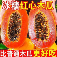 广西雷州冰糖心木瓜 5斤装 规格可选 甜红心木瓜树上熟整箱大果批发