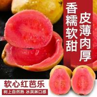 广西红心芭乐 5斤装 规格可选 软糯番石榴应季新鲜水果整箱芭乐红心果低糖低脂