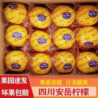 四川安岳黄柠檬 2斤精品果 泡水水果 酸爽多汁 新鲜优质水果