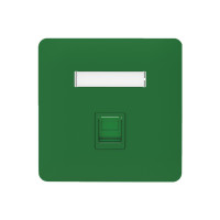 光驰 OTRANS 内外网转换信息面板(单口)GCZY100-9 绿色