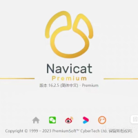 Navicat for mysQL企业版永久许可