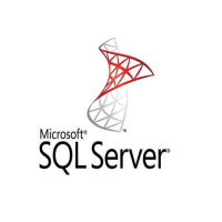 系统软件微软 SQLServer 2022 简体中文 标准版