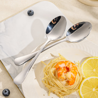 方解实(FANGJIESHI) 304不锈钢勺子 SN-131