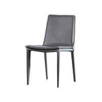 方解实(FANGJIESHI) 办公家具 常规餐椅 碳素钢椅腿