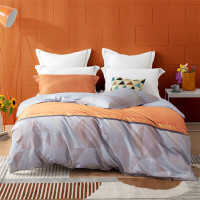 罗莱家纺冰岛暖洋全棉磨毛四件套200*230(套)(200*230)