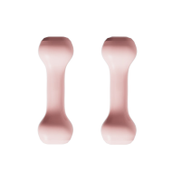 威诗兰 家庭健身房套装L10