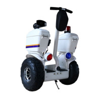 双轮物业巡逻两轮电动平衡车大轮胎电动XLL-01