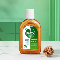 滴露 消毒液250ml 2瓶装 Z