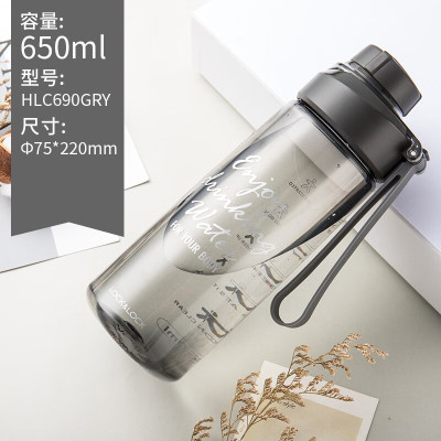 乐扣乐扣(LOCK&LOCK)带茶隔运动水杯便携提绳商务杯茶壶HLC690(650毫升)