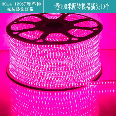 LED灯带220V 3014-120灯升级 暖光 100米 10个插头+卡子 紫光